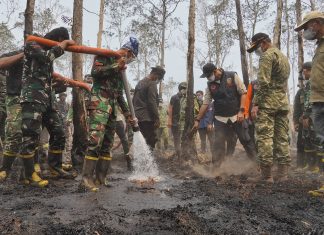 Gubernur Mirza Perkuat Penanganan Karhutla TNWK, Pemadaman Dikebut dan Kesehatan Warga Jadi Perhatian