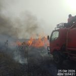 Berjarak 14 Km dari Pusat Latihan Gajah, Karhutla di Titik Baru TNWK Berhasil Dipadamkan