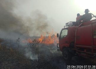 Berjarak 14 Km dari Pusat Latihan Gajah, Karhutla di Titik Baru TNWK Berhasil Dipadamkan